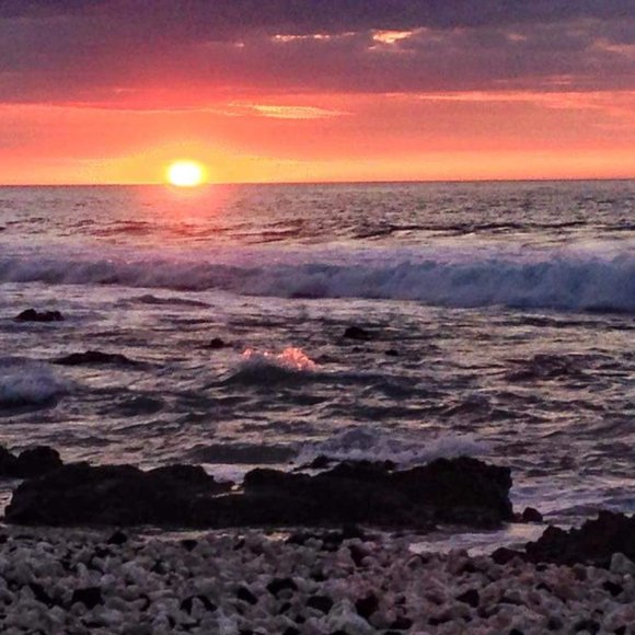 Clearance: Everything Must Go. Make An Offer. Bundle & Save. Buy Now! - Picture 3 of 17